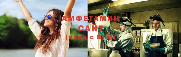 ПСИЛОЦИБИНОВЫЕ ГРИБЫ Вяземский