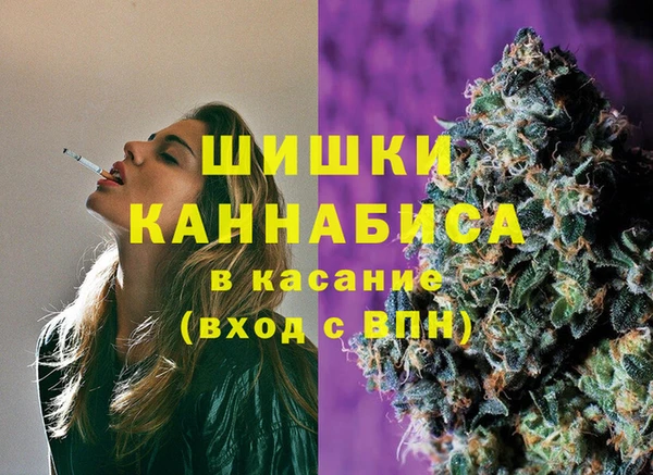 ПСИЛОЦИБИНОВЫЕ ГРИБЫ Вяземский