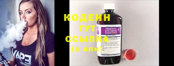 ПСИЛОЦИБИНОВЫЕ ГРИБЫ Вяземский