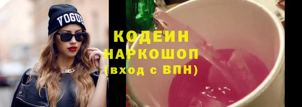ПСИЛОЦИБИНОВЫЕ ГРИБЫ Вяземский