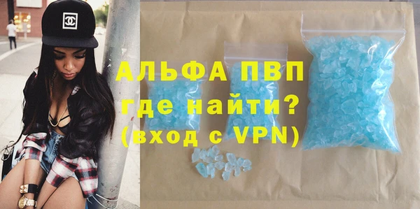 ПСИЛОЦИБИНОВЫЕ ГРИБЫ Вяземский