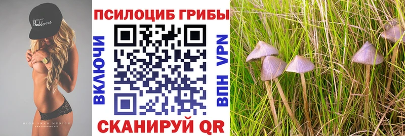Псилоцибиновые грибы MAGIC MUSHROOMS  Купить закладки  Сергач 